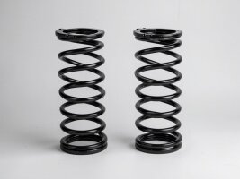 Blatt- & Spiralfedern