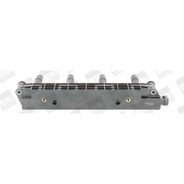 BorgWarner (BERU) ZS259 Zündspule