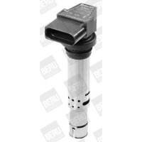 BorgWarner (BERU) ZSE030 Zündspule
