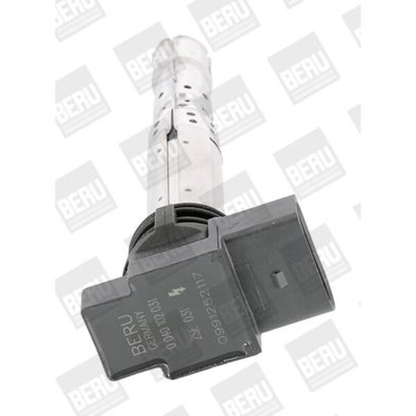 BorgWarner (BERU) ZSE031 Zündspule