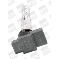 BorgWarner (BERU) ZSE031 Zündspule