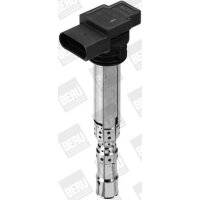 BorgWarner (BERU) ZSE031 Zündspule