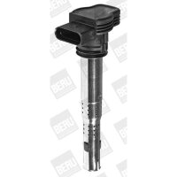 BorgWarner (BERU) ZSE033 Zündspule