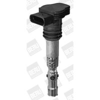 BorgWarner (BERU) ZSE043 Zündspule