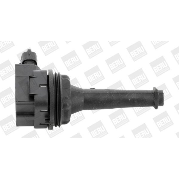 BorgWarner (BERU) ZSE019 Zündspule