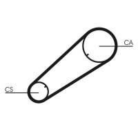 CONTINENTAL CTAM CT1004 Zahnriemen