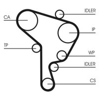 CONTINENTAL CTAM CT1044 Zahnriemen