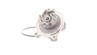 SKF VKPC 86619 Wasserpumpe, Motorkühlung
