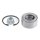 SNR R151.27 Radlagersatz