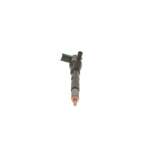BOSCH 0 445 110 059 Einspritzdüse