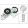Schaeffler INA 533 0076 30 Riemenspanner, Keilrippenriemen