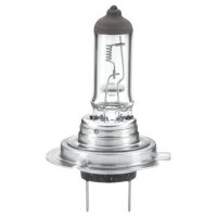HELLA 8GH 007 157-241 Glühlampe, Fernscheinwerfer