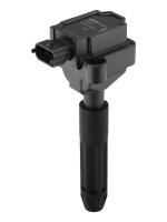 BorgWarner (BERU) ZS041 Zündspule