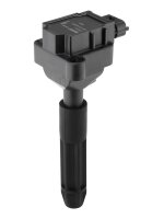 BorgWarner (BERU) ZS041 Zündspule