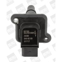 BorgWarner (BERU) ZSE009 Zündspule