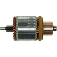 AS-PL SA2010 Anker, Starter