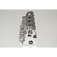AMC 908568 Zylinderkopf