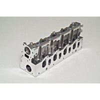 AMC 908568 Zylinderkopf