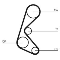 CONTINENTAL CTAM CT964 Zahnriemen