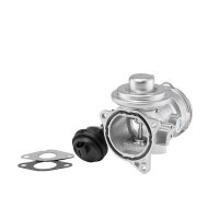 BorgWarner 7372D AGR-Ventil