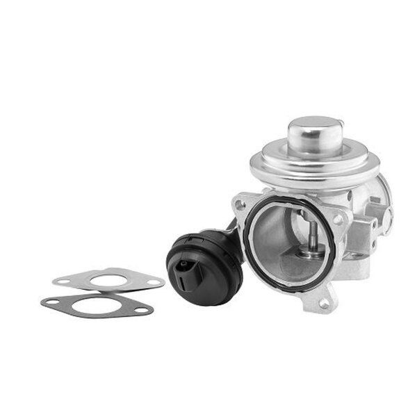 BorgWarner 7241D AGR-Ventil