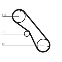 CONTINENTAL CTAM CT1089 Zahnriemen