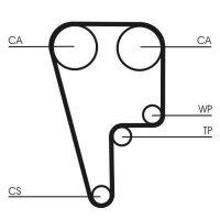 CONTINENTAL CTAM CT1006 Zahnriemen