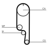 CONTINENTAL CTAM CT1008 Zahnriemen