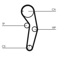 CONTINENTAL CTAM CT1053 Zahnriemen