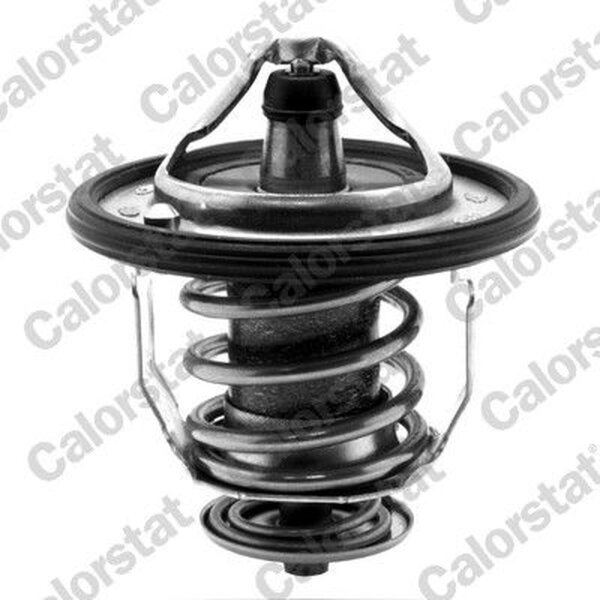 CALORSTAT by Vernet TH5434.88J Thermostat, Kühlmittel