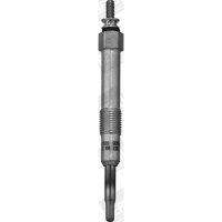 BorgWarner (BERU) GN042 Glühkerze