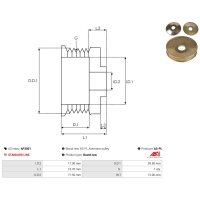 AS-PL AP3001 Riemenscheibe, Generator