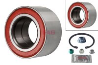 Schaeffler FAG 713 6100 20 Radlagersatz