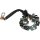 AS-PL SBH5001 Halter, Kohlebürsten