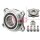 Schaeffler FAG 713 6063 00 Radlagersatz