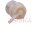 ASHIKA 30-04-403 Kraftstofffilter