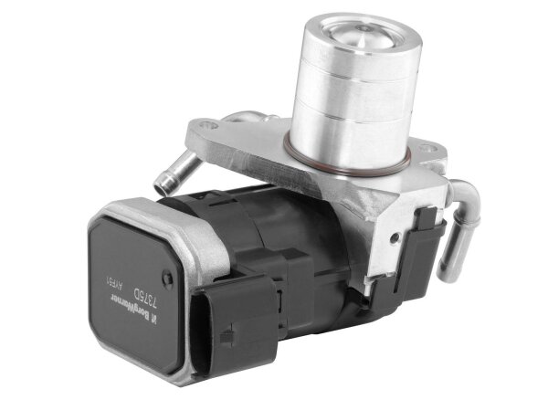 BorgWarner 7375D AGR-Ventil