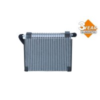NRF 36081 Verdampfer, Klimaanlage