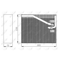 NRF 36081 Verdampfer, Klimaanlage