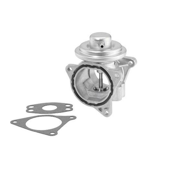 BorgWarner 7496D AGR-Ventil