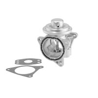 BorgWarner 7496D AGR-Ventil