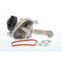 BorgWarner 7206D AGR-Ventil