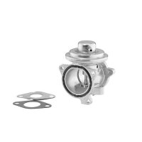 BorgWarner 7271D AGR-Ventil
