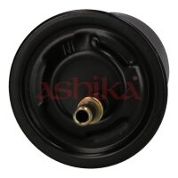 ASHIKA 30-05-520 Kraftstofffilter