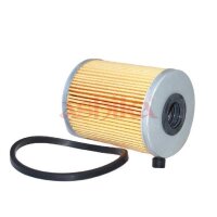 ASHIKA 30-ECO015 Kraftstofffilter