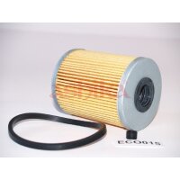 ASHIKA 30-ECO015 Kraftstofffilter