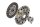 Schaeffler LuK 623 3151 33 Kupplungssatz