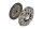 Schaeffler LuK 623 3215 19 Kupplungssatz