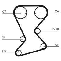 CONTINENTAL CTAM CT1108 Zahnriemen