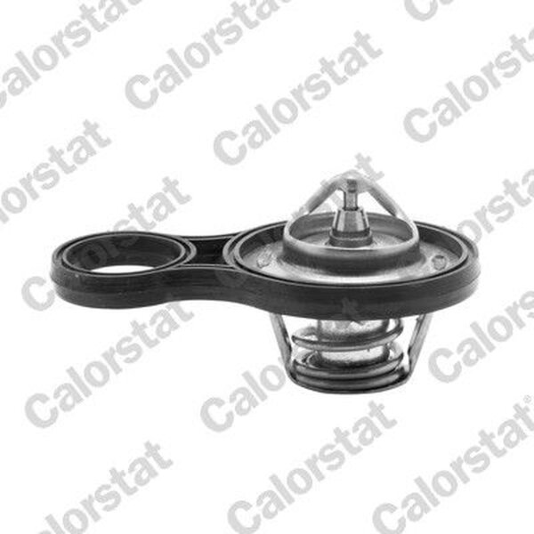 CALORSTAT by Vernet TH6843.91J Thermostat, Kühlmittel